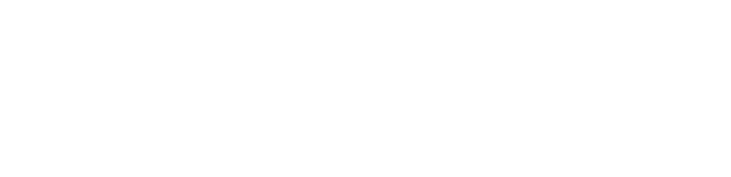 Follow Austria Logo